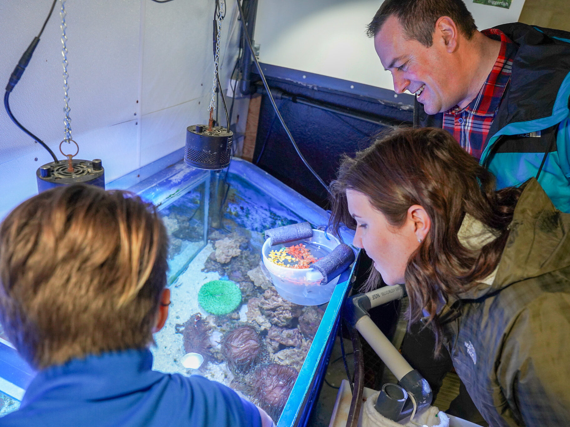 Lead the Feed Clownfish & Coral Aquarium of Niagara