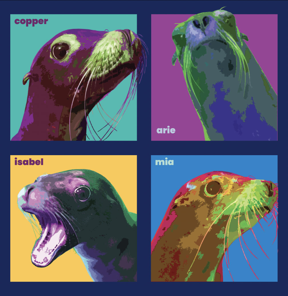 sea-lion-exhibit-upgrade-aquarium-of-niagara