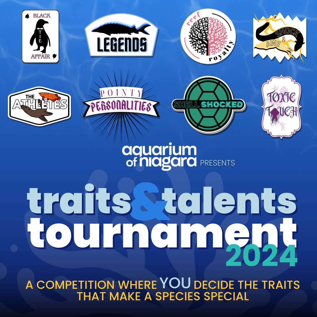 traits-talents-tournament-aquarium-of-niagara