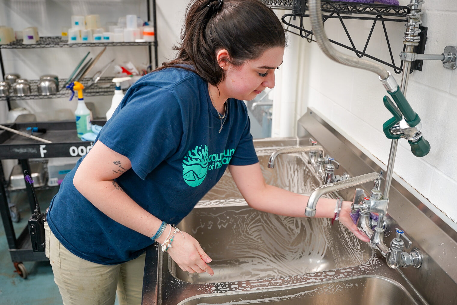 Intern: Fish & Invertebrates - Aquarium of Niagara