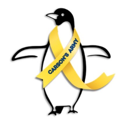 Carson's army logo