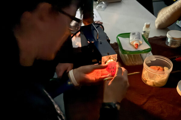 candling a penguin egg with a bright light