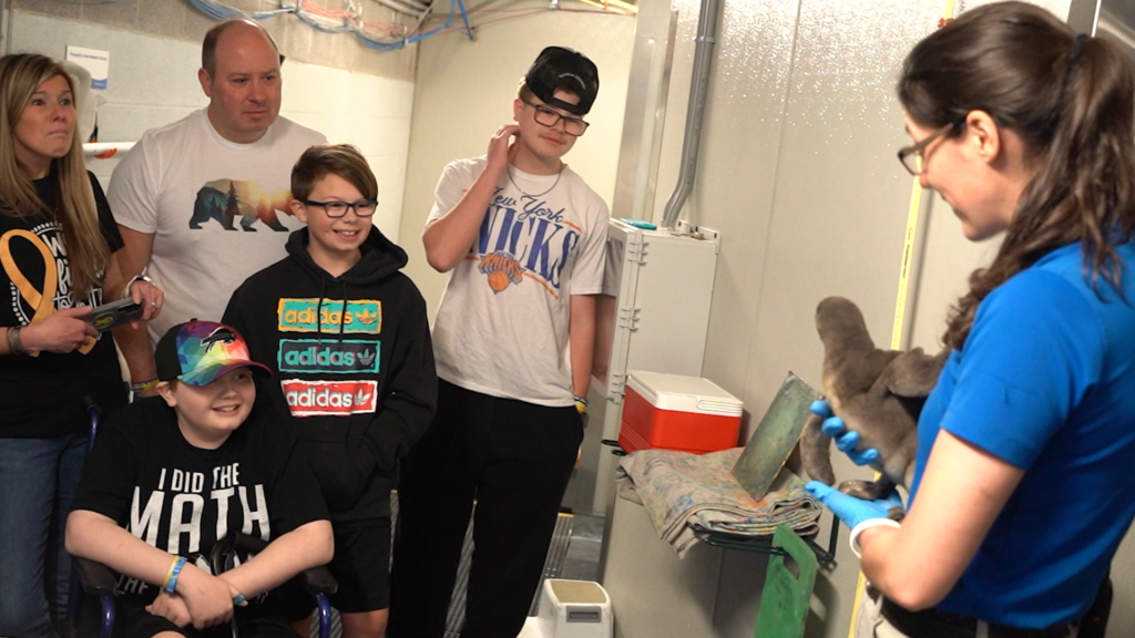 Carson and his family in the penguin backup area watching a penguin keeper holding a Humboldt penguin chick